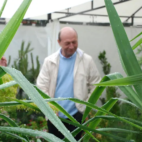Băsescu: România ar fi trecut mai uşor peste criză dacă în ultimii 20 de ani investea în agricultură