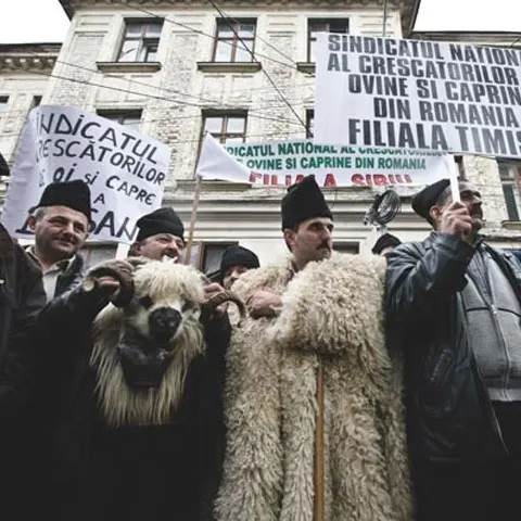 Preşedintele ANSVSA susţine că direcţiile judeţene au stocurile de crotalii necesare anul acesta