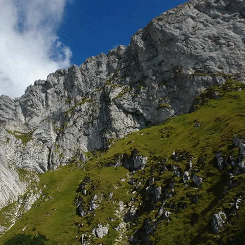 Un turist a rămas blocat în Munţii Piatra Craiului după ce a căzut şi şi-a rupt un picior