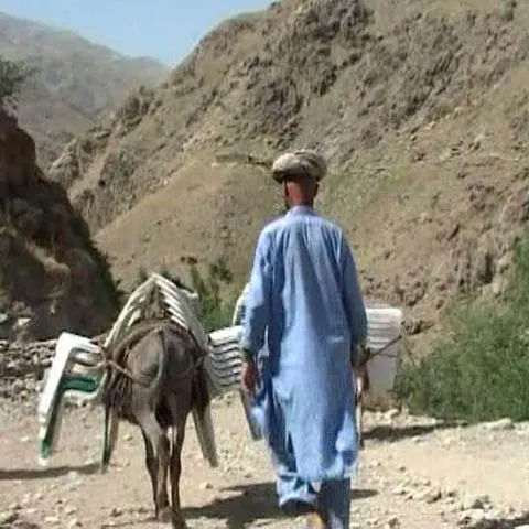 Măgarii cară urnele de vot în Afganistan, către zonele izolate