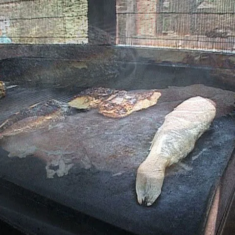 Gurmanzii se pot bucura de specialităţi pescăreşti în cherhanalele de la mare