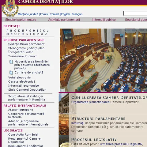 PNL nu a participat la Biroul Permanent la care Anastase cere suspendarea Comisiei Udrea