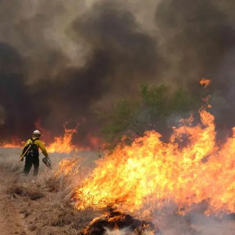 Incendiu de proporţii, în apropiere de Lisabona