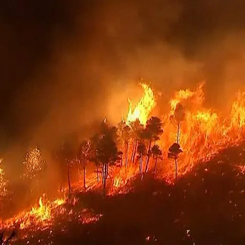 10.000 de persoane din Atena au primit ordin de evacuare, din cauza incendiilor