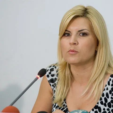 Elena Udrea a luat maşini cu derogare