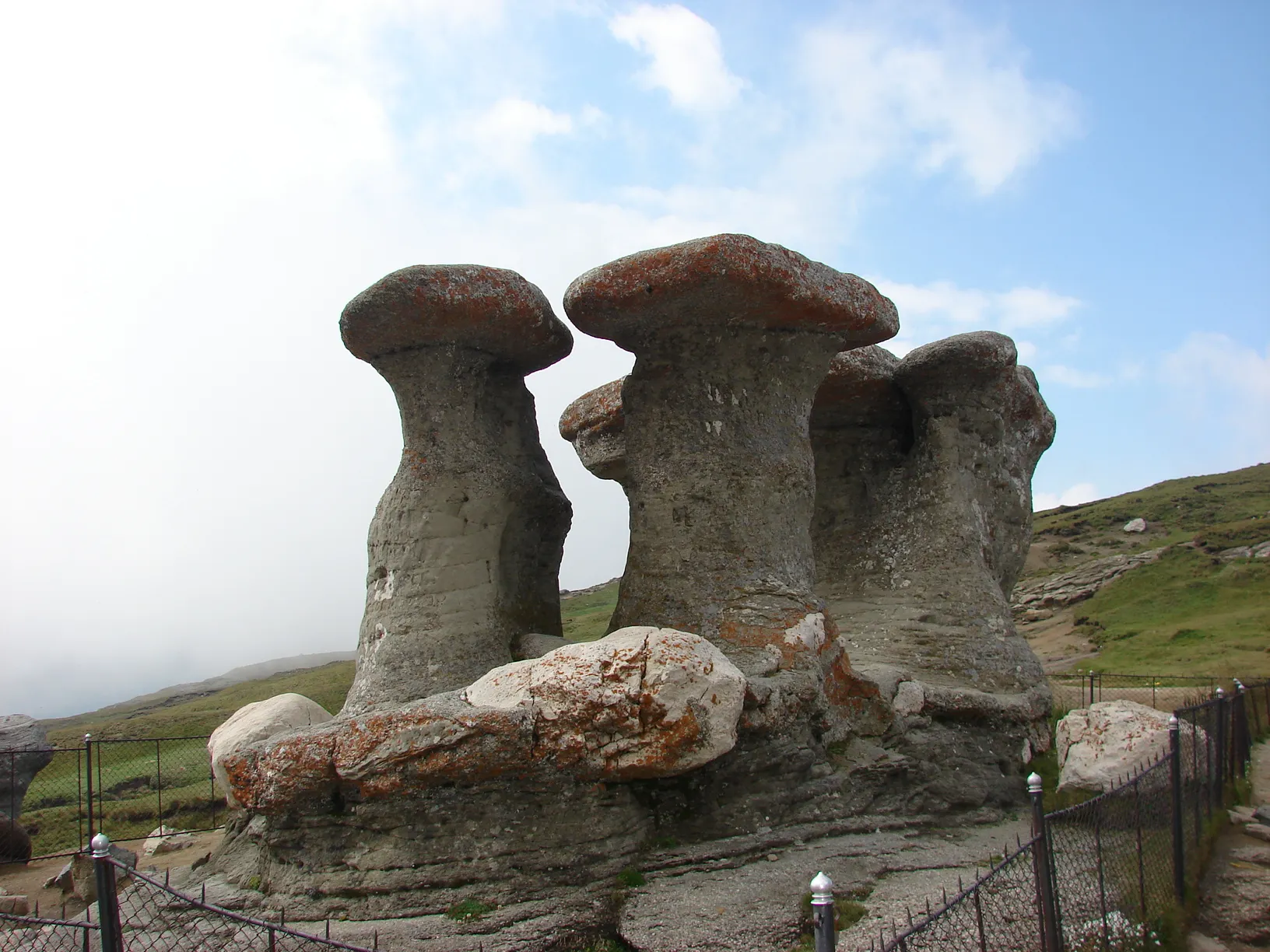 BUȘTENI