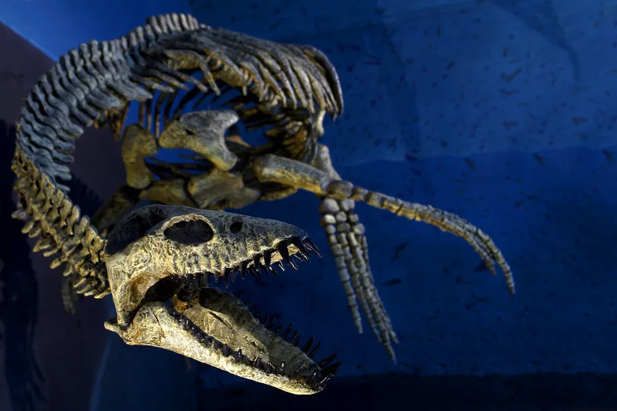 Nessie, monstrul din Loch Ness, a fost găsit pe Google Earth - VEZI IMAGINI