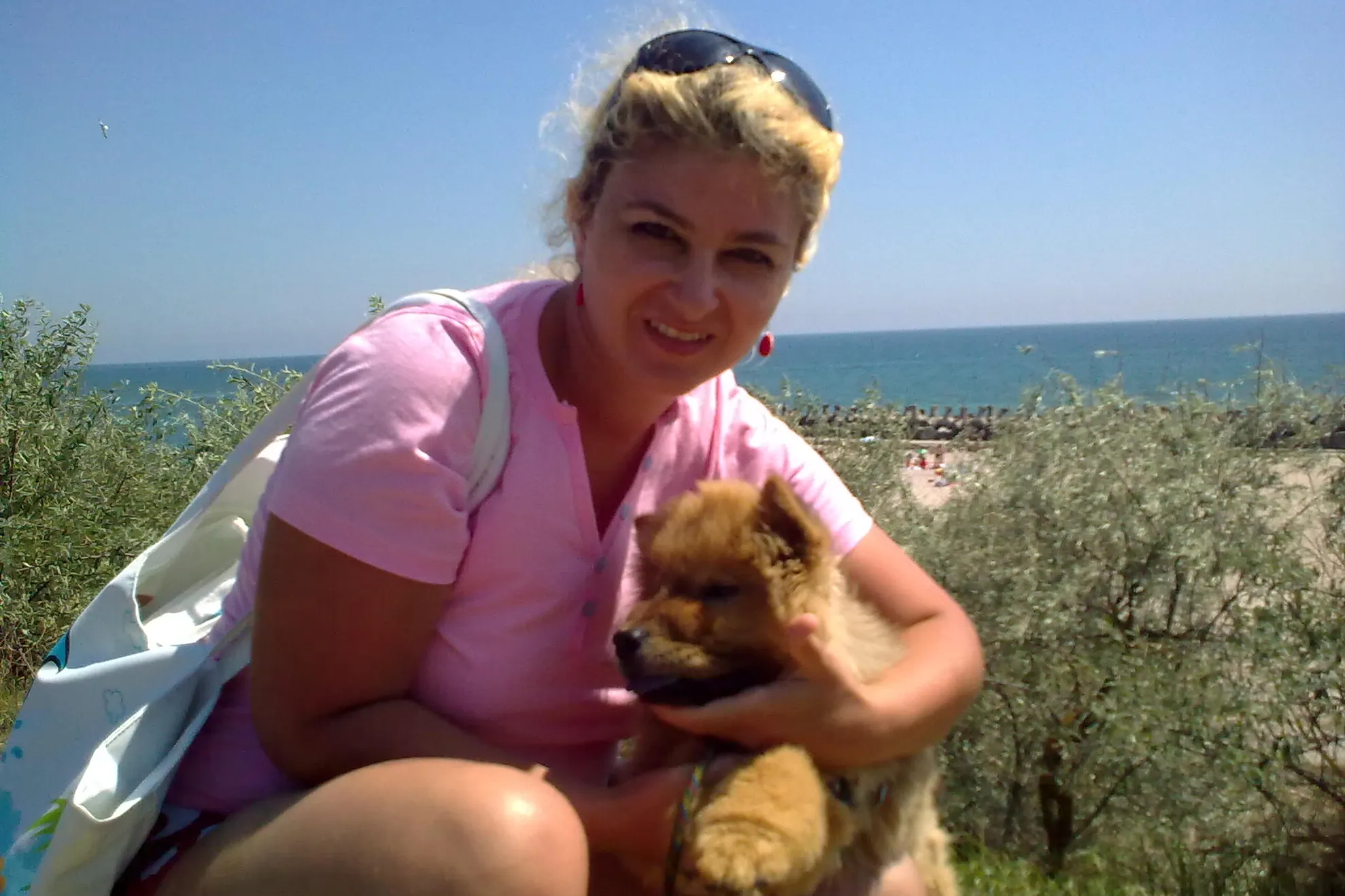 Vacanta