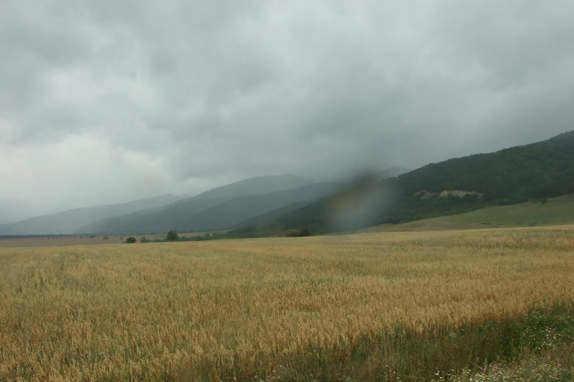 Bulgaria