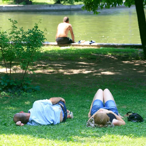Bucureştenii vor avea voie să stea pe iarbă şi să se plimbe cu rolele în parcuri 