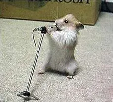 Hamsterul rapper, sumo ţepos şi lupta cu papucii, la FUNNY pe NET 28