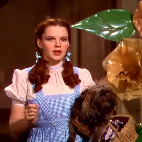 Casting TV pentru rolul Dorothy din musicalul "Vrăjitorul din Oz" al lui Lloyd Webber