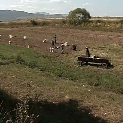 Moţii şi-au scos la vâzare terenurile