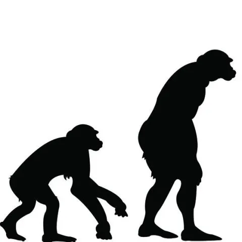 Omul nu se mai poate întoarce la origini, conform ultimelor teorii evoluţioniste