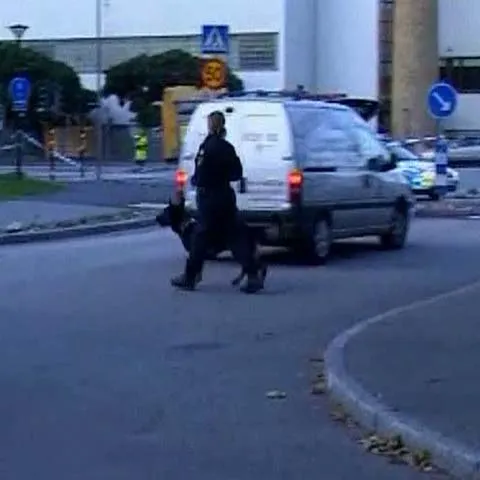 Şase suspecţi au fost arestaţi în cazul jafului din Suedia