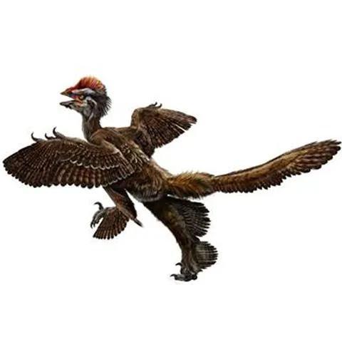 Pasărea dinozaur cu patru aripi, descoperită după 160 de milioane de ani