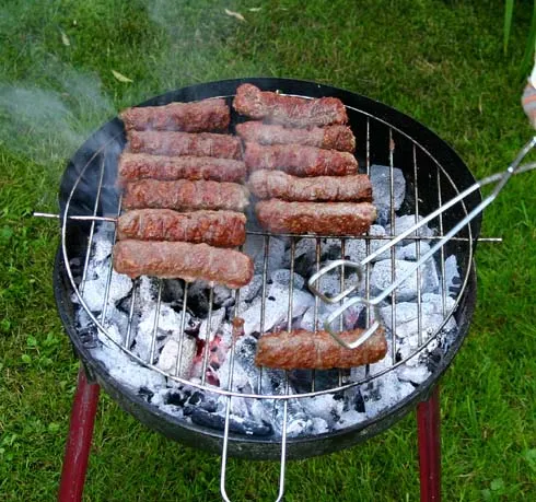 Udrea susţine că nu e nevoie de o lege a picnicului