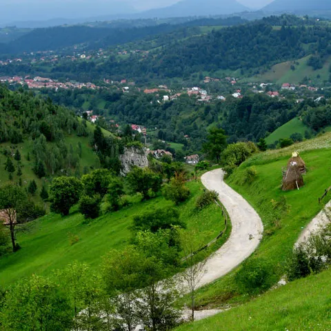 Guvernul alocă 123 milioane lei pentru proiecte de mediu ale autorităţilor locale