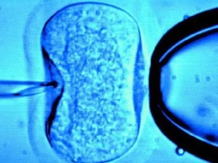 Fertilizarea in vitro rămâne legală