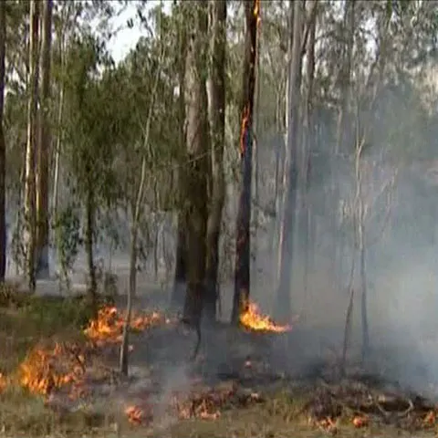 Incendiu în Australia, din cauza căldurii şi secetei