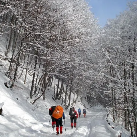 Un grup de turişti a rămas blocat în zona Coada Lacului-Remeţi, din judeţul Bihor