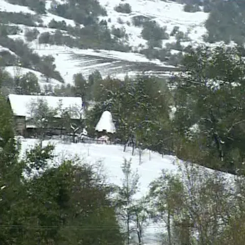 Ţăranii din nordul judeţului Hunedoara au rămas cu roadele neculese din cauza zăpezii
