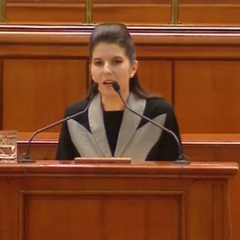 Deputaţii ar trebui să discute rapoartele Udrea şi Ridzi şi un dosar al lui Adrian Năstase
