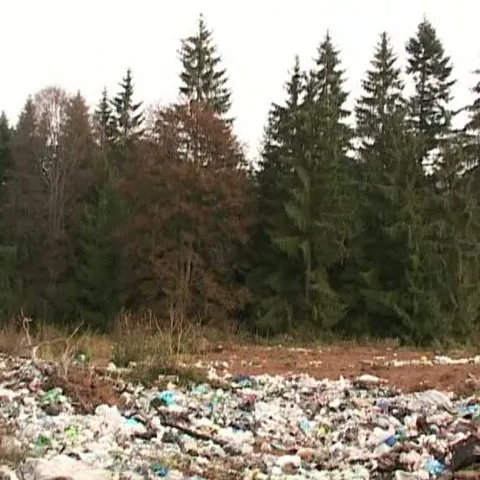 Pe malurile Mureşului sunt aruncate la întâmplare tone de gunoaie 