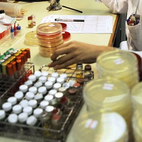 La şcoala 146 din Bucureşti nu sunt, deocamdată, alte suspiciuni de infectare cu virusul A/H1N1
