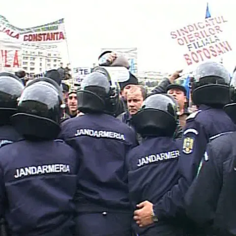 Reprezentanţii crescătorilor de taurine au intrat la negocieri la Ministerul Finanţelor Publice 