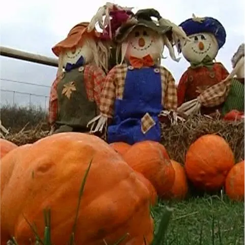 Cei mai frumoşi dovleci de Halloween, la un festival din Marea Britanie