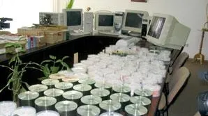 Orădence care au făcut copii ilegale unor programe pentru calculator cercetate de poliţişti