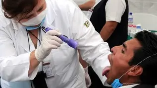 Peste 1.900 de cazuri de gripă porcină au fost înregistrate, în România 