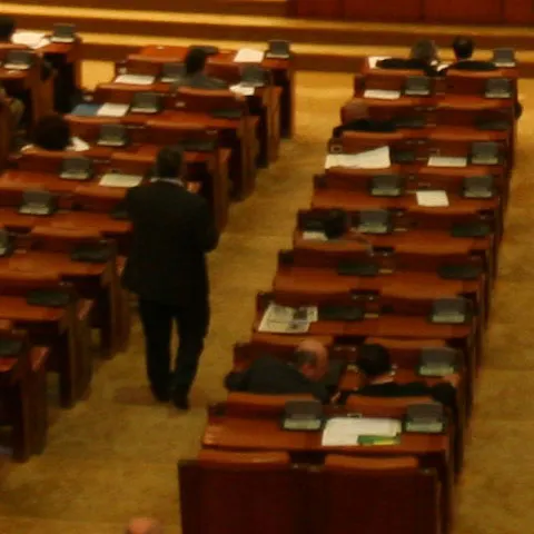 OUG privind organizarea referendumului va fi supusă la vot astăzi în Cameră, care este decizională