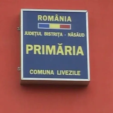 Persoanele cu handicap şi asistenţii personali din Bistriţa Năsăud nu au mai primit bani de trei luni