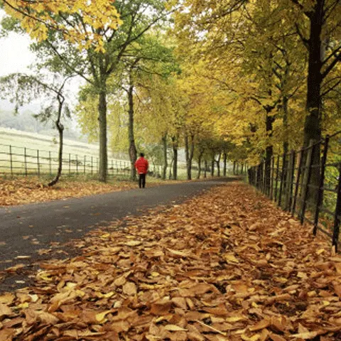 Ploi mai puţine şi vreme caldă spre finalul săptămânii - VEZI PROGNOZA METEO