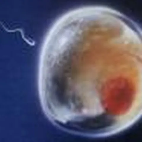Un copil va putea avea trei părinţi biologici