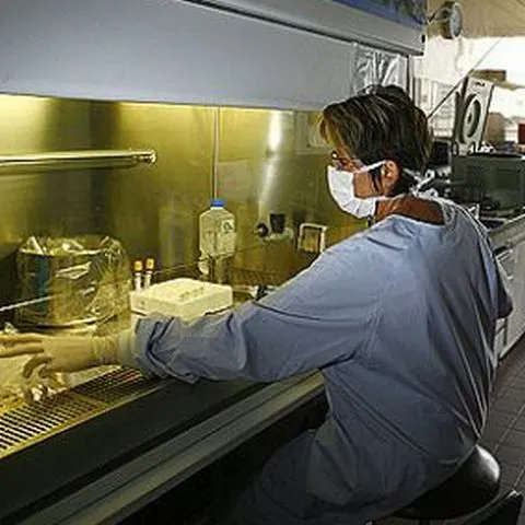 OMS le cere medicilor să administreze rapid antivirale pacienţilor din grupele de risc