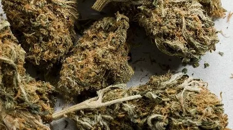 Un olandez a fost prins în timp ce încerca să vândă marijuana şi ecstasy, la Piteşti