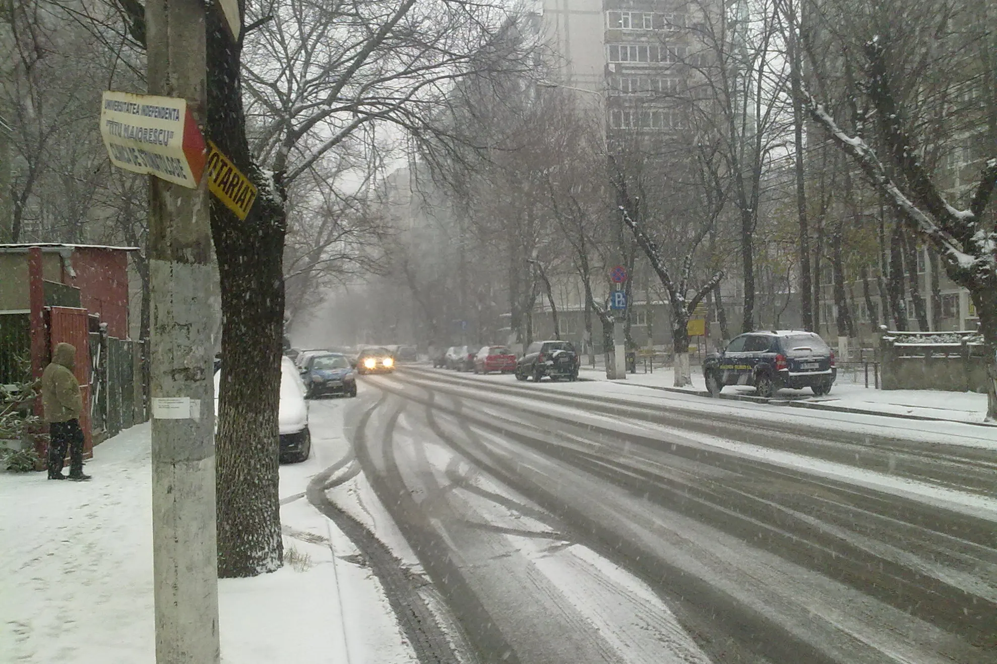 Prima ninsoare adevărată în Bucureşti 