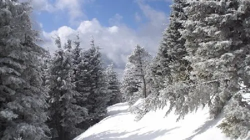 Noaptea de duminică spre luni a fost cea mai geroasă, din ultimii cinci ani, în Bacău   