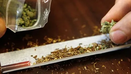 Marijuana, benefică în tratarea sclerozei multiple