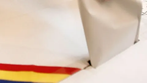 PSD: La o secţie specială de votare din Paris, fiecare vot a durat 75 de secunde