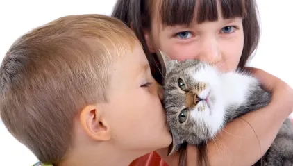 Alimentele care provoacă cele mai multe alergii la copii