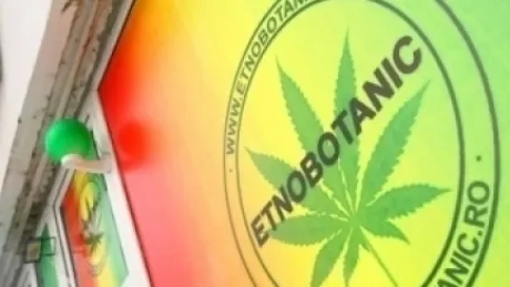 etnobotanice