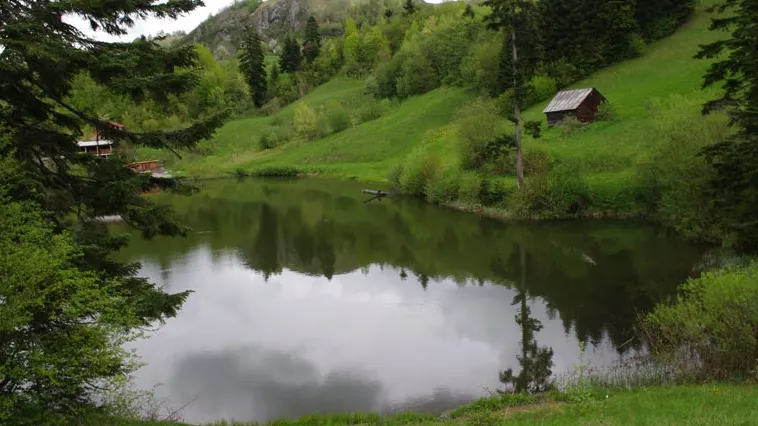 Rosia Montana