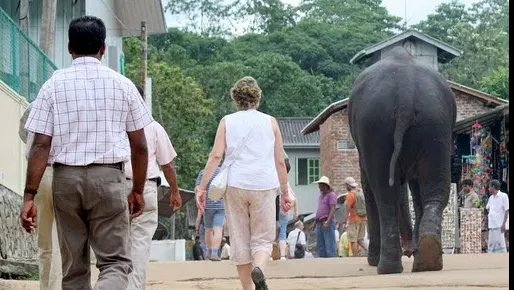Zeci de muncitori din Sri Lanka, care lucrau la o fabrică de confecţii în Botoșani, vor fi repatriaţi 