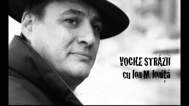Vocile străzii