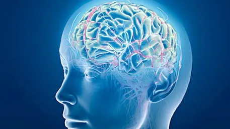 Ce să mănânci să-ţi creşti IQ-ul 