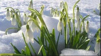 Veste bună de la meteorologi. Cum va fi vremea luni şi marţi